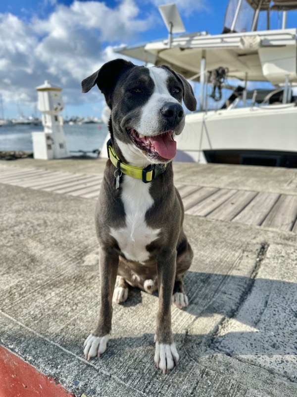Zouk — Nomad Marine Solutions